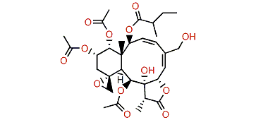 Juncenolide E